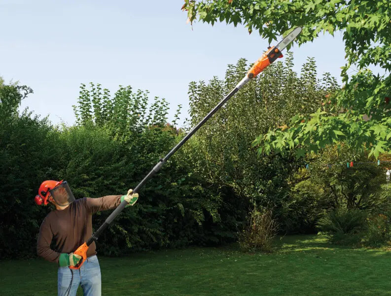 Guida alla cura del giardino in autunno: cosa fare prima dell’inverno