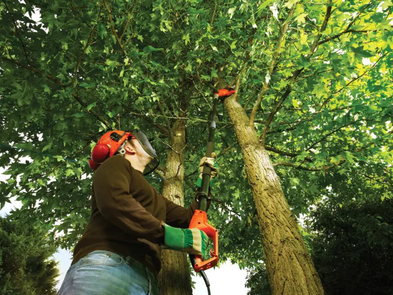 BLACK+DECKER Attrezzature da giardino - Sega potatrice 800 W PS7525-QS