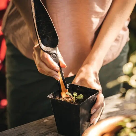 Trapiantatore per semi 1057641  Fiskars