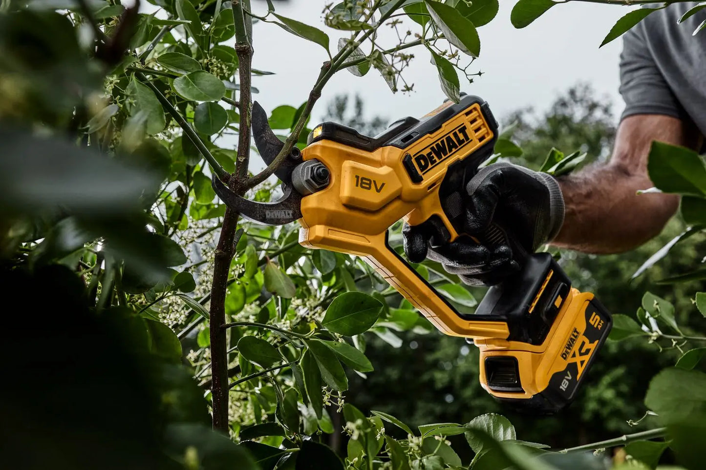 DeWALT Potatore a batteria 18V, 1x batteria 5,0 Ah XR, caricabatterie