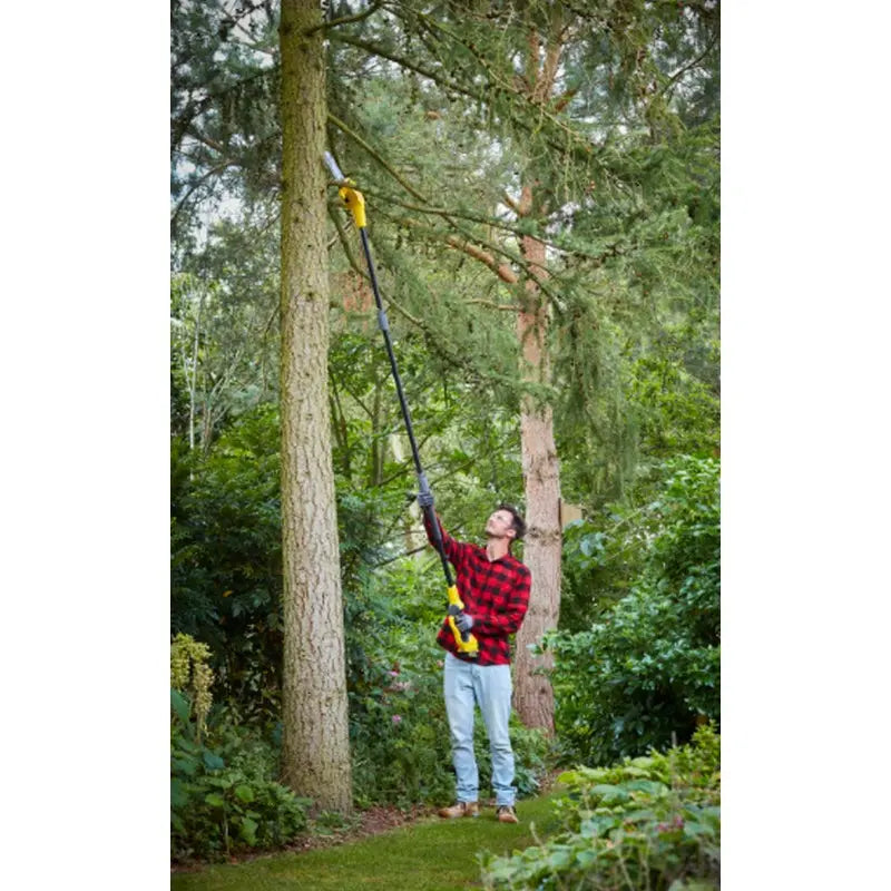 Stanley Attrezzature da giardino - Motosega da potatura a batteria 18V 20 cm, 1 batteria Li-Ion da 4,0 Ah, caricabatterie SFMCPS620M1-QW