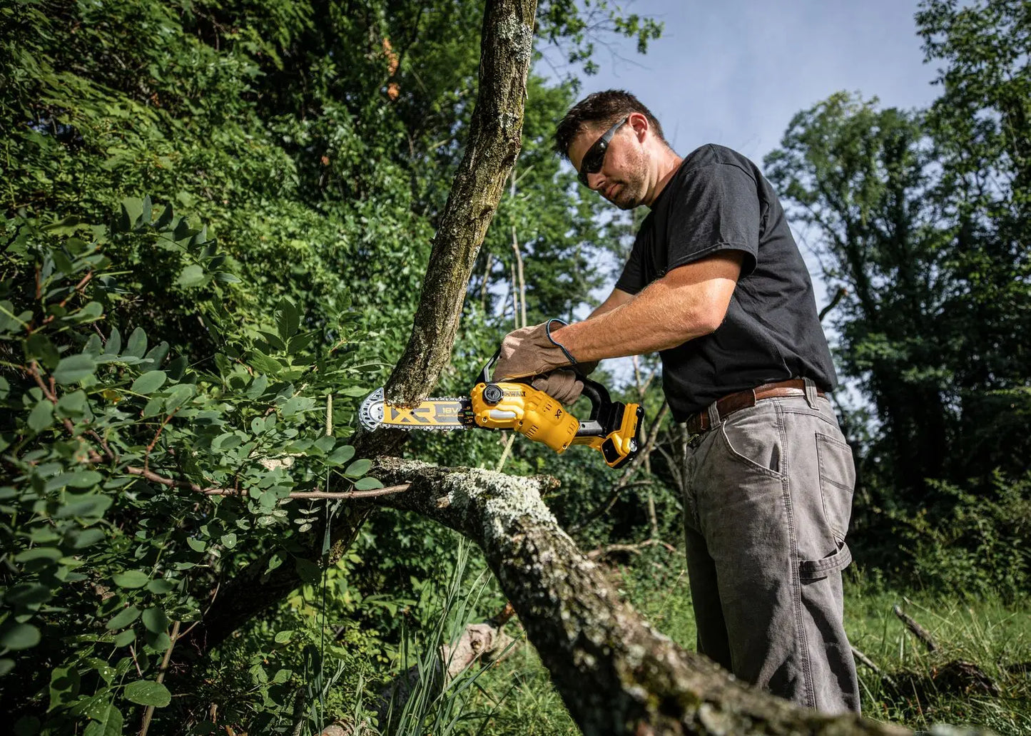 DeWALT  Sega da potatura a batteria 18V 20 cm, 1x batteria 5,0 Ah, caricabatterie DCMPS520P1