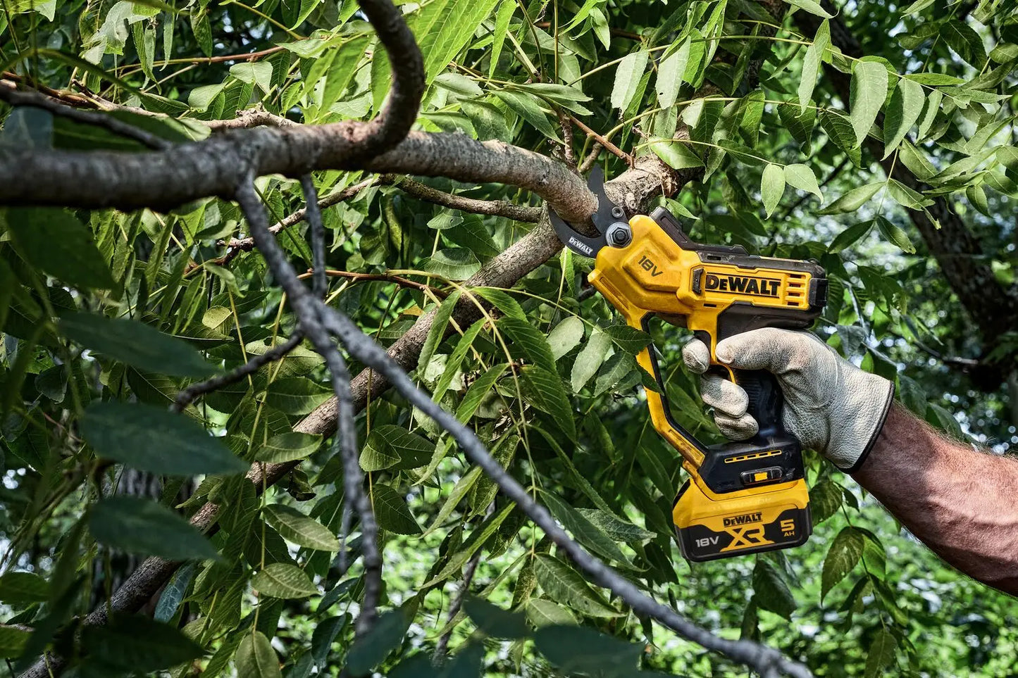 DeWALT Potatore a batteria 18V, 1x batteria 5,0 Ah XR, caricabatterie