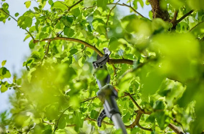 Gardena - troncarami telescopico AKU 18V HighCut 250/18V P4A, 1x batteria 2,0 Ah, caricabatterie 14774-20